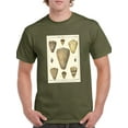 thumbnail image 1 of Cone Shells. T-Shirt Men -Denis Diderot Designs, Male 4X-Large, 1 of 4