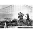 thumbnail image 1 of Coney Island History (24 x 18), 1 of 2