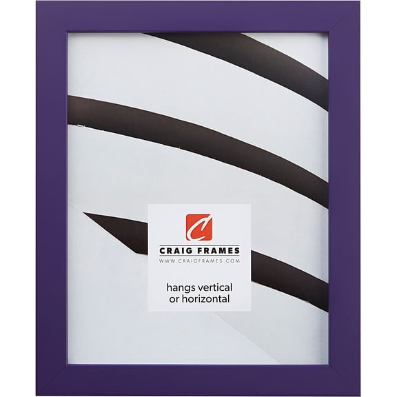 Confetti, Modern Purple Picture Frame, 24 x 30 Inch