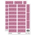 thumbnail image 1 of Confidential Double Line Border Document Sticker Set - Light Pink - Gloss Finish - 2.00" Large, 1 of 7