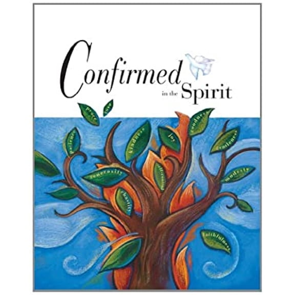 Pre-Owned Confirmed in the Spirit Student Edition (Paperback) 0829421246 9780829421248