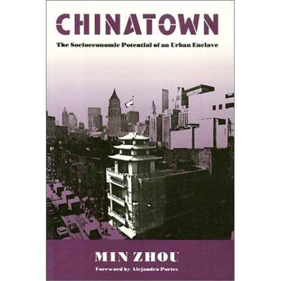 Conflicts In Urban & Regional: Chinatown : The Socioeconomic Potential of an Urban Enclave (Hardcover)