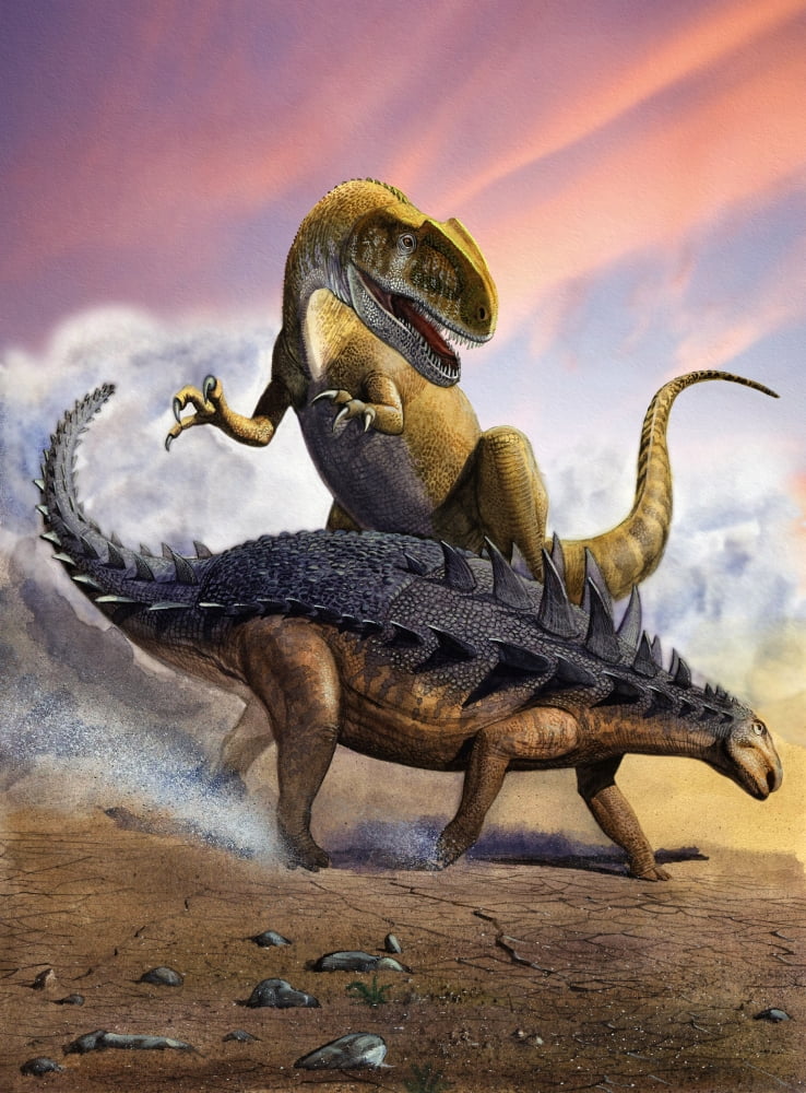 Confronation between a Neovenator and a Polacanthus armored dinosaur Canvas Art - Sergey KrasovskiyStocktrek Images (13 x 17)