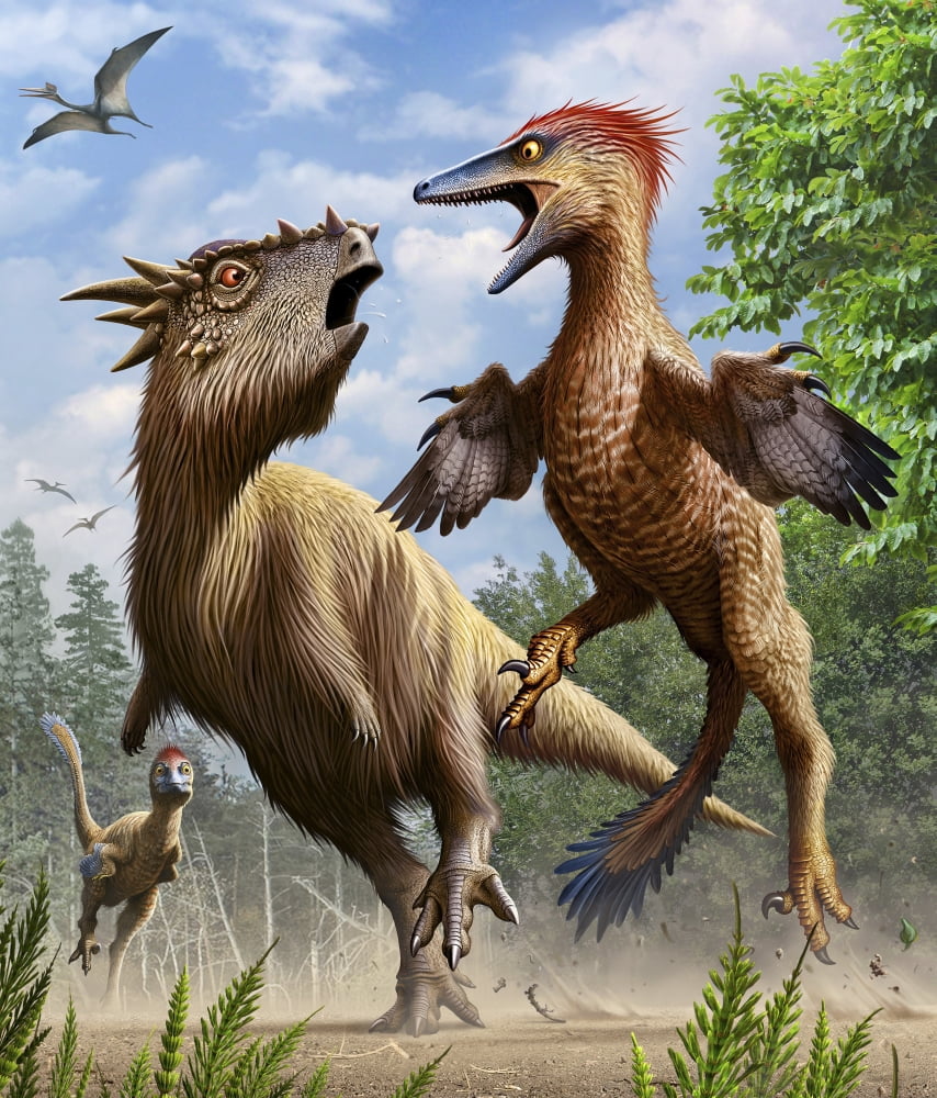Confrontation between Pectinodon bakkeri and a Stygimoloch Canvas Art - Mohamad Haghani (14 x 16)