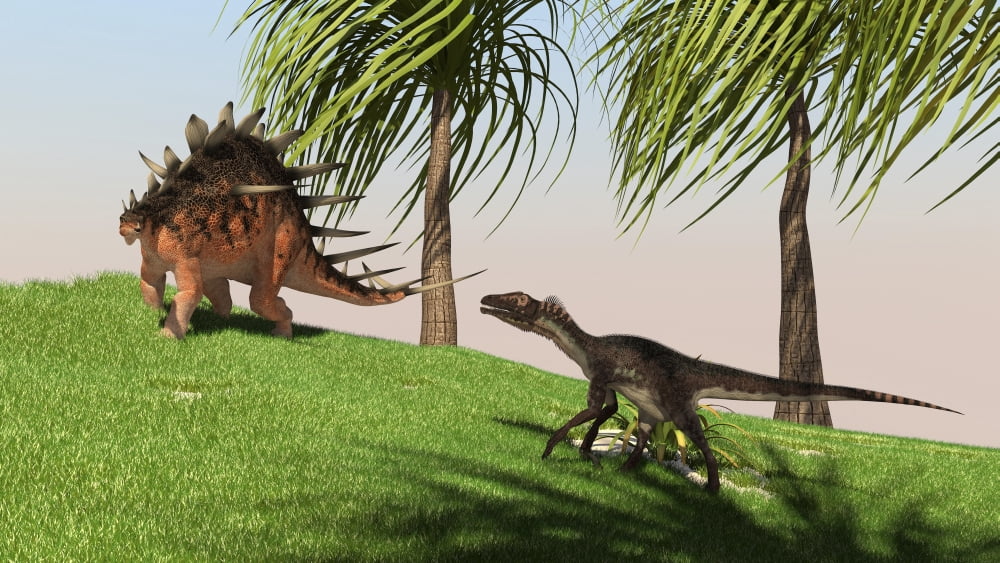 Confrontation between a Kentrosaurus and a Utahraptor Canvas Art - Kostyantyn IvanyshenStocktrek Images (19 x 11)