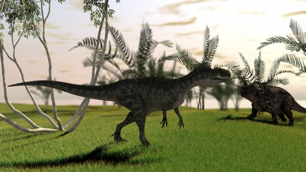 Confrontation between a Monolophosaurus and a brown Einiosaurus Canvas Art - Kostyantyn IvanyshenStocktrek Images (38 x 22)