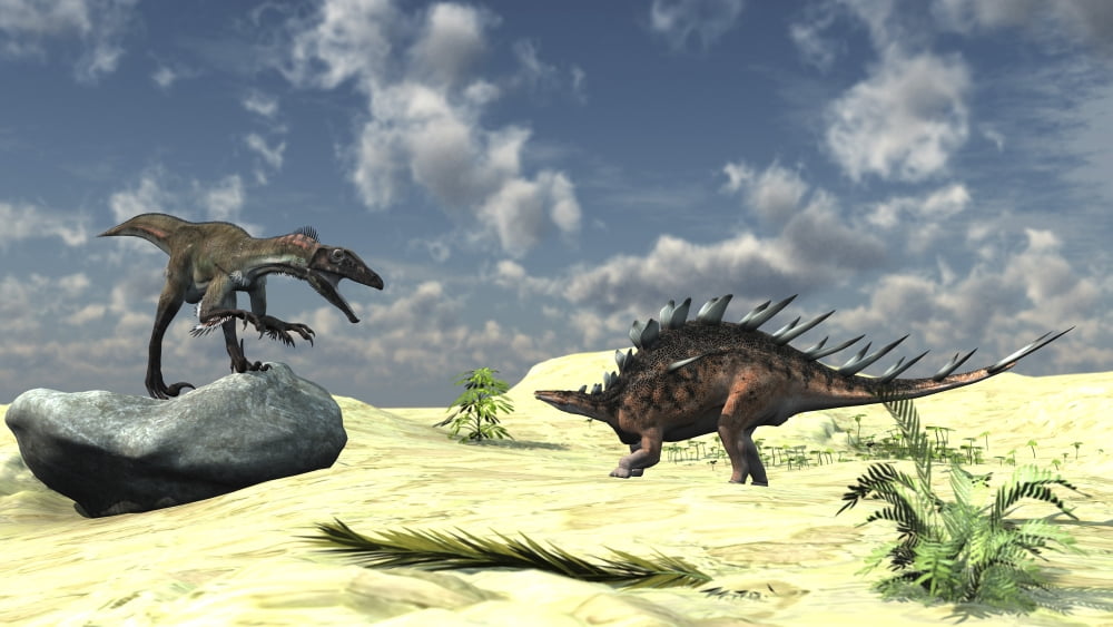 Confrontation between a Utahraptor and a Kentrosaurus Canvas Art - Kostyantyn IvanyshenStocktrek Images (38 x 22)