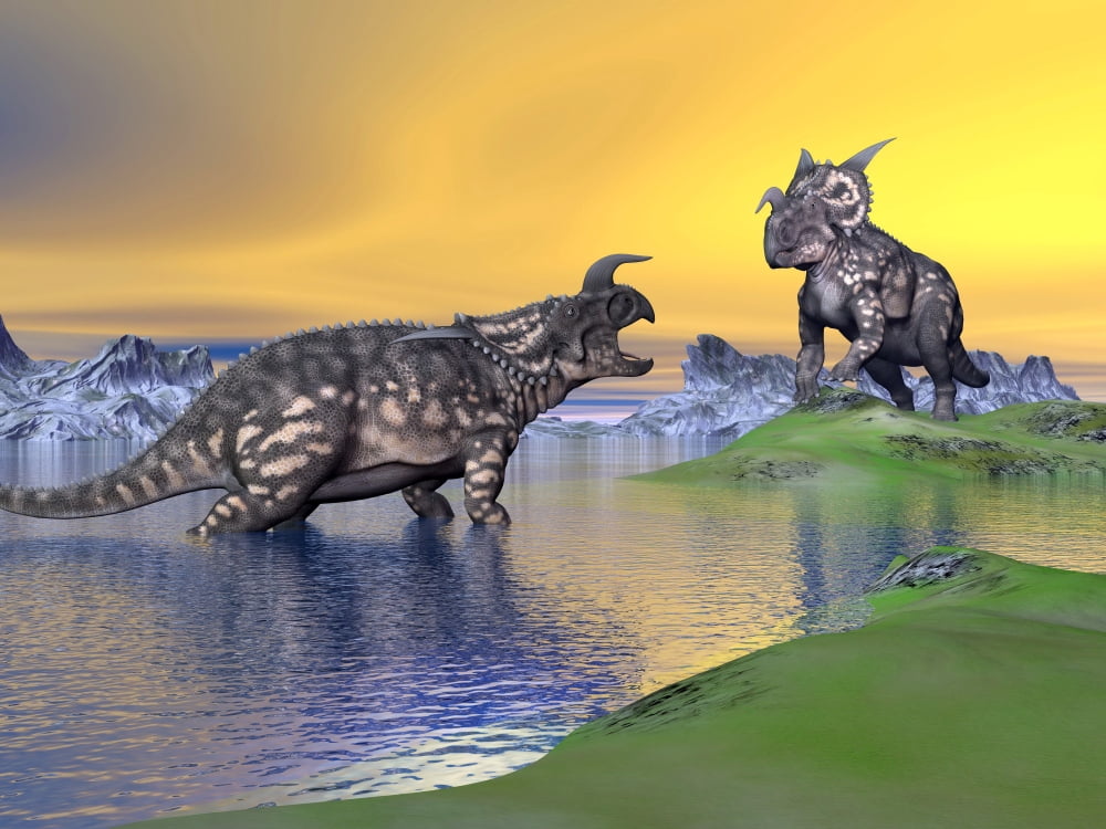 Confrontation between two Einiosaurus dinosaurs Canvas Art - Elena DuvernayStocktrek Images (17 x 13)