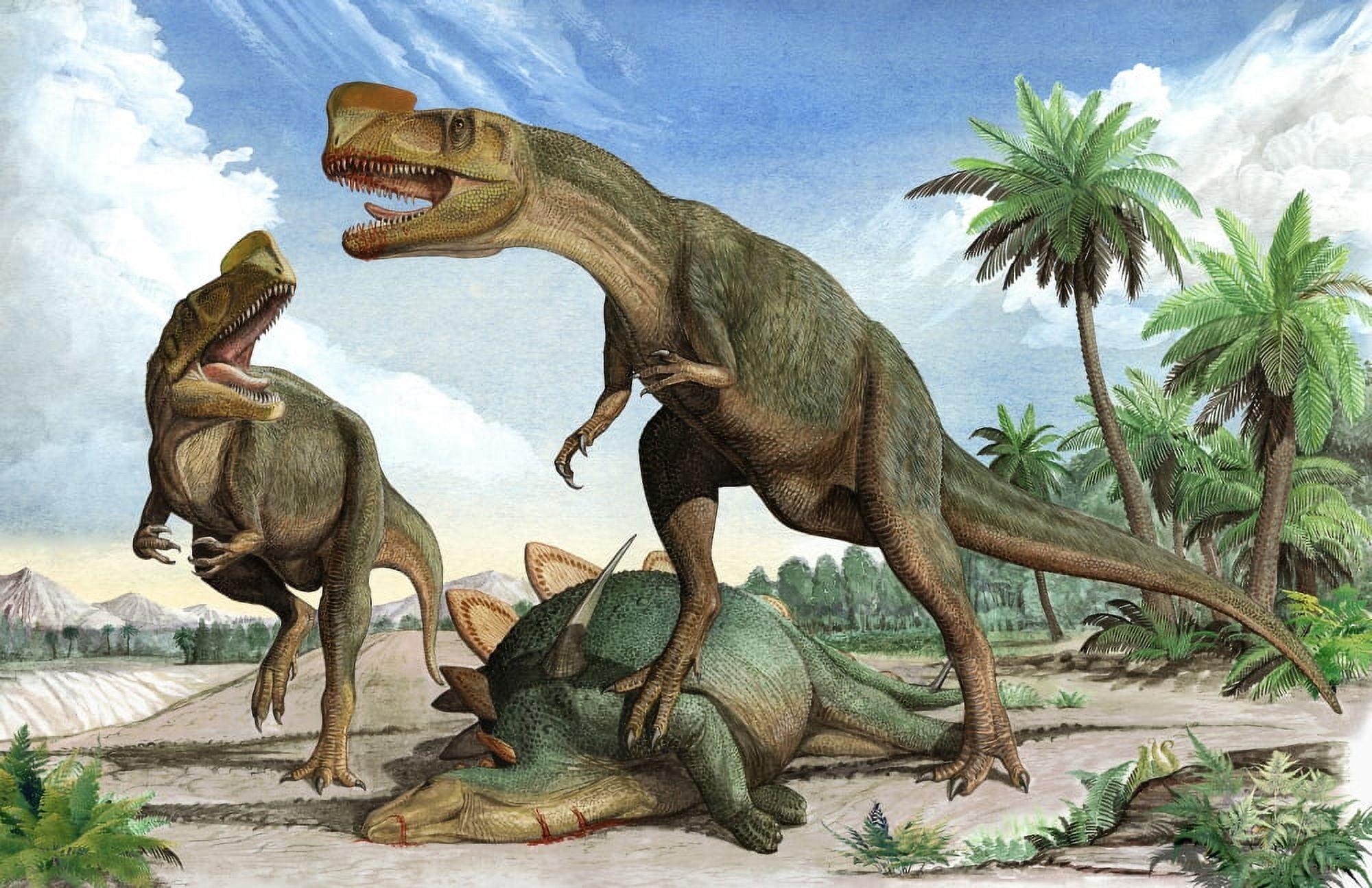 Confrontation between two Kileskus aristotocus dinosaurs over a dead stegosaurid Canvas Art - Sergey KrasovskiyStocktrek Images (35 x 23)