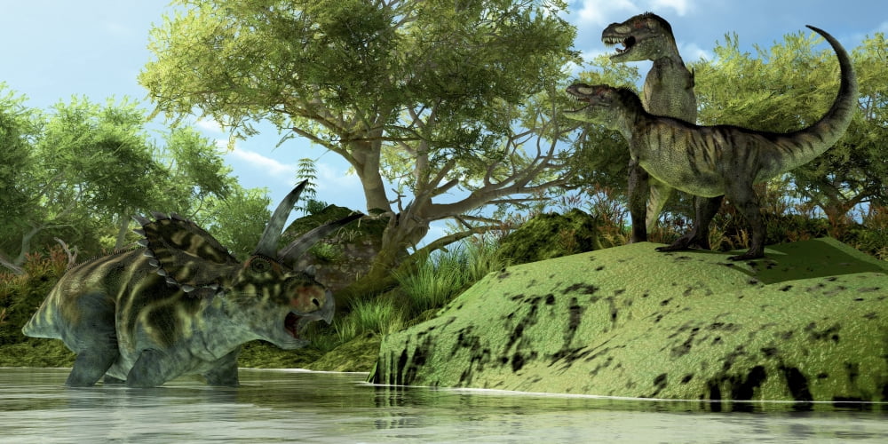 Confrontation between two Tyrannosaurus Rex and a Coahuilaceratops Canvas Art - Corey FordStocktrek Images (20 x 10)