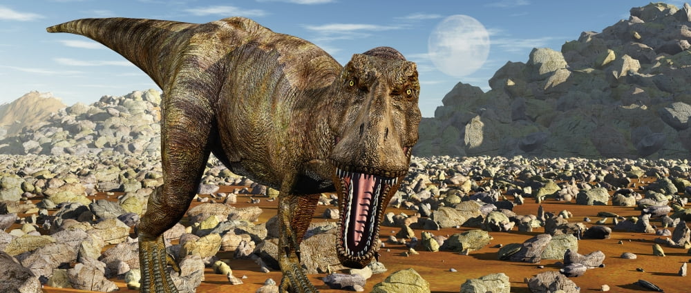 Confrontation with a carnivorous Tyrannosaurus rex Canvas Art - Mark StevensonStocktrek Images (22 x 10)
