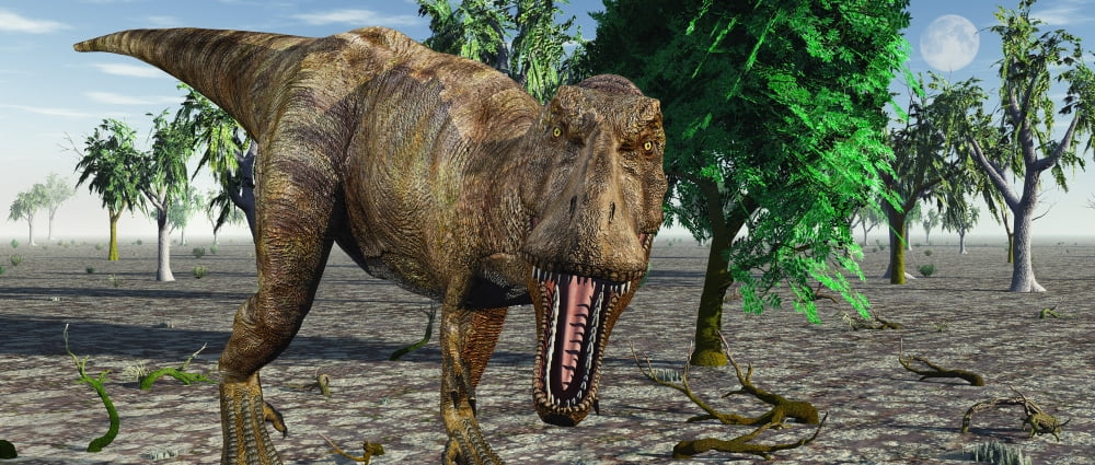 Confrontation with a carnivorous Tyrannosaurus rex Canvas Art - Mark StevensonStocktrek Images (22 x 10)