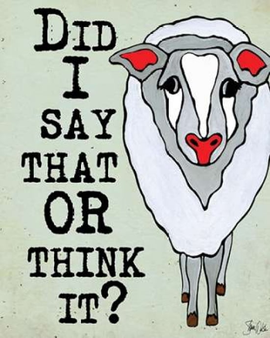 Confused Sheep Canvas Art - Shanni Welsh (24 x 30)