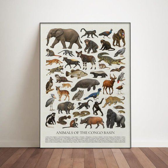 Congo Basin Animals Wall Art Print, Unframed Paper Poster 8x10in