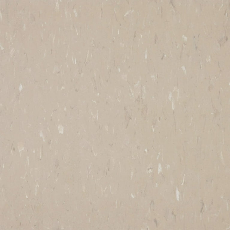 Congoleum Alternatives 45-Piece 12-in x 12-in Warm Stone VCT Tile Congoleum Alternatives 45-Piece 12-in x 12-in Warm Stone VCT Tile