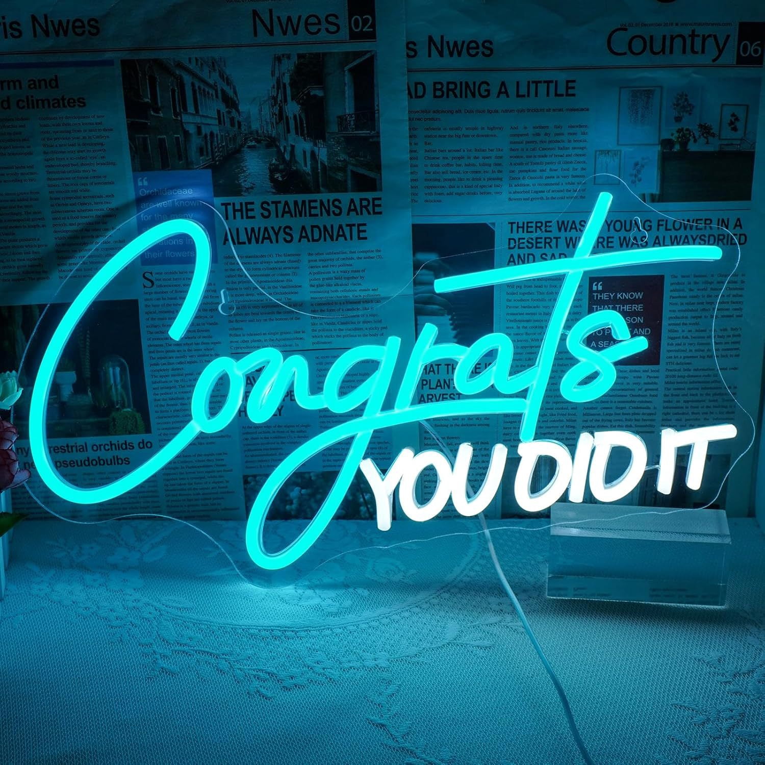 Congrats Grad Neon Sign,Hanging & Tabletop Congrats Grad Sign for ...
