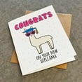 thumbnail image 1 of Congrats on Your New Diploma Funny Greeting Card - Unique Blank Card with Envelope for Graduations, 1 of 3