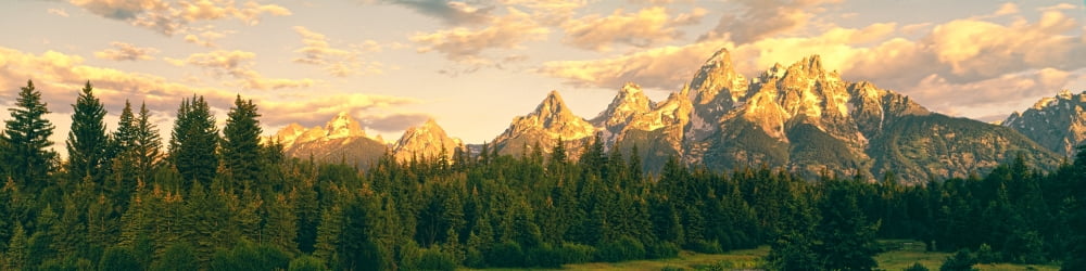 Conifers trees with mountain range in the background Teton Range Snake River Grand Teton National Park Wyoming USA Canvas Art - Panoramic Images (10 x 40)