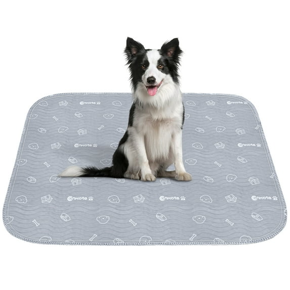 Conkote Washable Pet Training Pads, 36" x 41" (2 Pack)