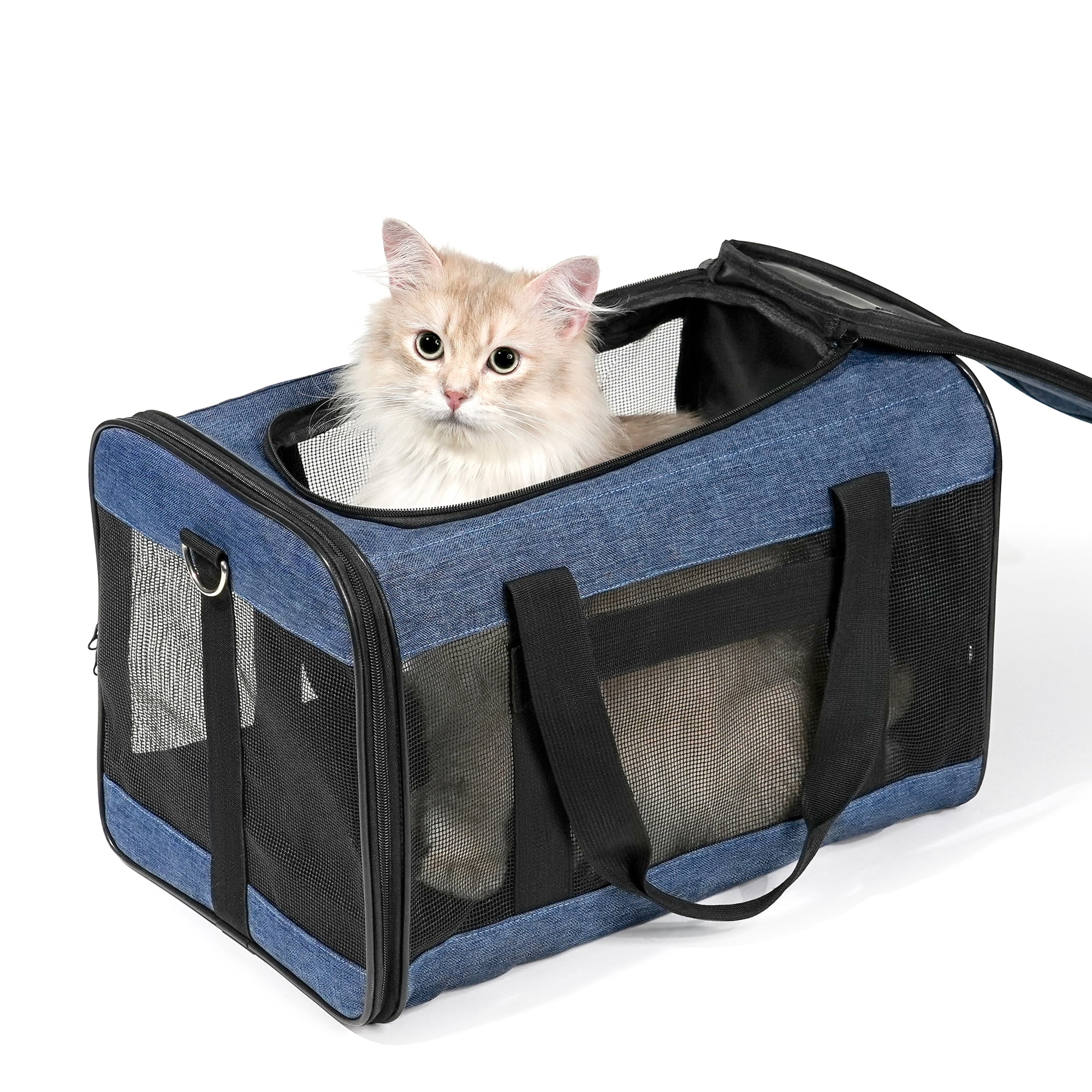 Argo cat carrier 2025