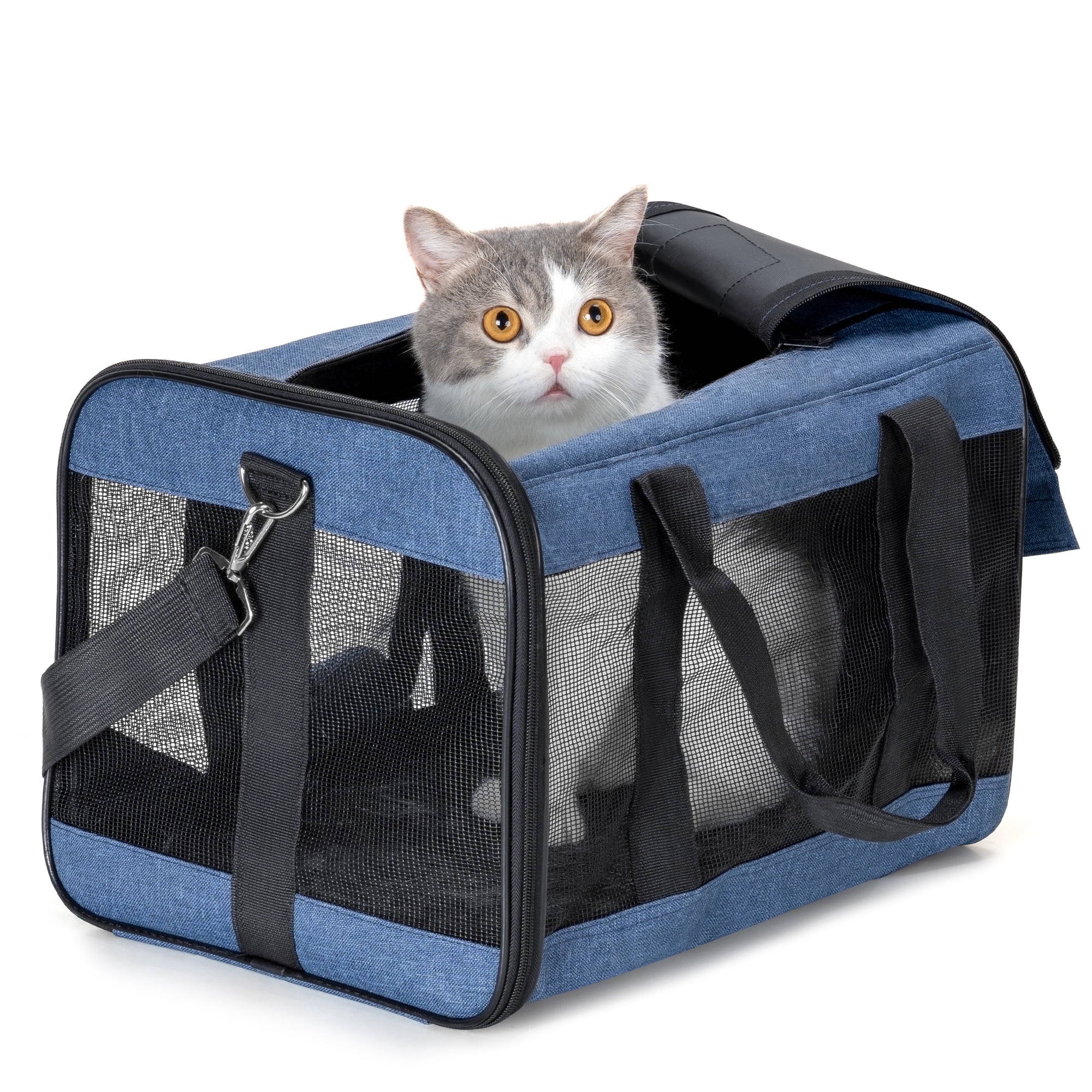 Conlun Airline Approved Pet Carrier-Foldable,Soft-Sided, Safety  Leash,Comfort for Traveling with Small to Medium-Sized Pets,Blue