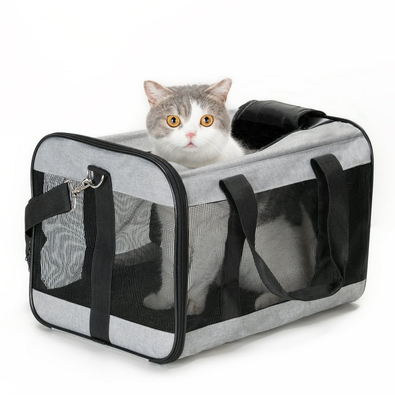 Cat carrier too clearance small