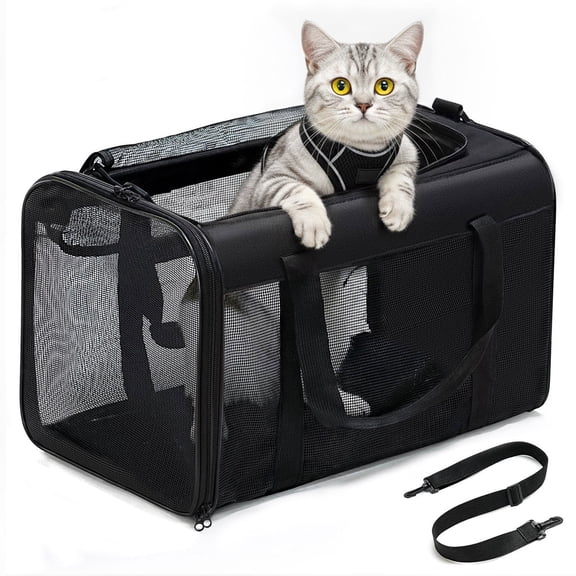 Conlun Cat Carrier,Soft-Sided Cat Carriers with 4-Sided Mesh,Airline Approved Pet Transport Carrier,Collapsible Cat Travel Carrier-Black