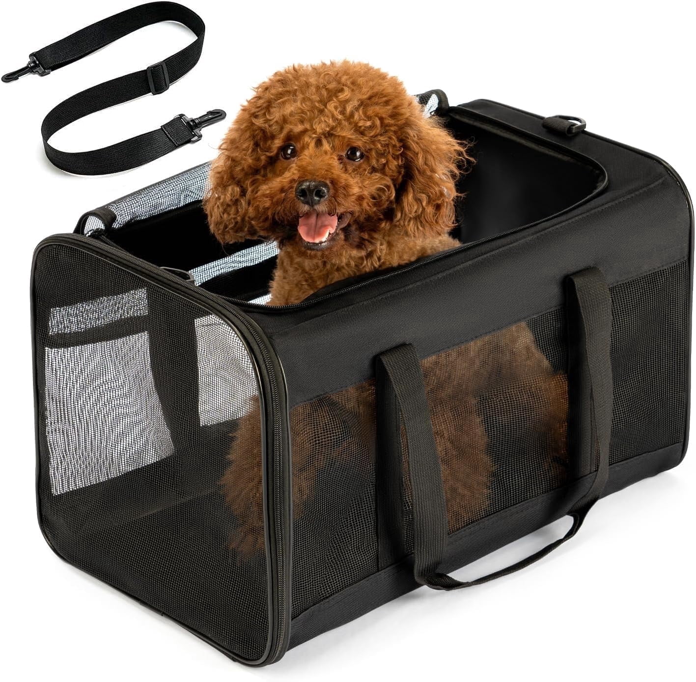 Conlun Cat Dog Carrier,Soft-Sided Pet Carriers for Dogs with 4-Sided Mesh,Cat Transport for Large Cats Small Dog Up to 9.9Kg,Collapsible Dat Travel Carrier-L,Black