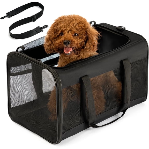 Conlun Cat Dog Carrier,Soft-Sided Pet Carriers for Dogs with 4-Sided Mesh,Cat Transport for Large Cats Small Dog Up to 9.9Kg,Collapsible Dat Travel Carrier-L,Black