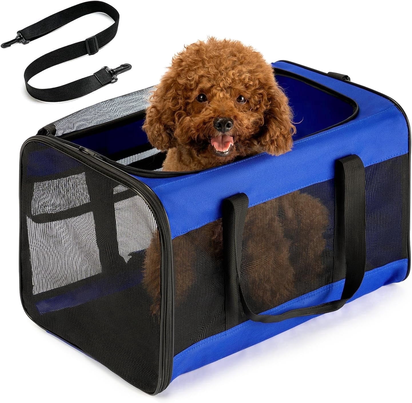 Conlun Cat Dog Carrier,Soft-Sided Pet Carriers for Dogs with 4-Sided Mesh,Cat Transport for Large Cats Small Dog Up to 9.9Kg,Collapsible Dat Travel Carrier-L,Blue