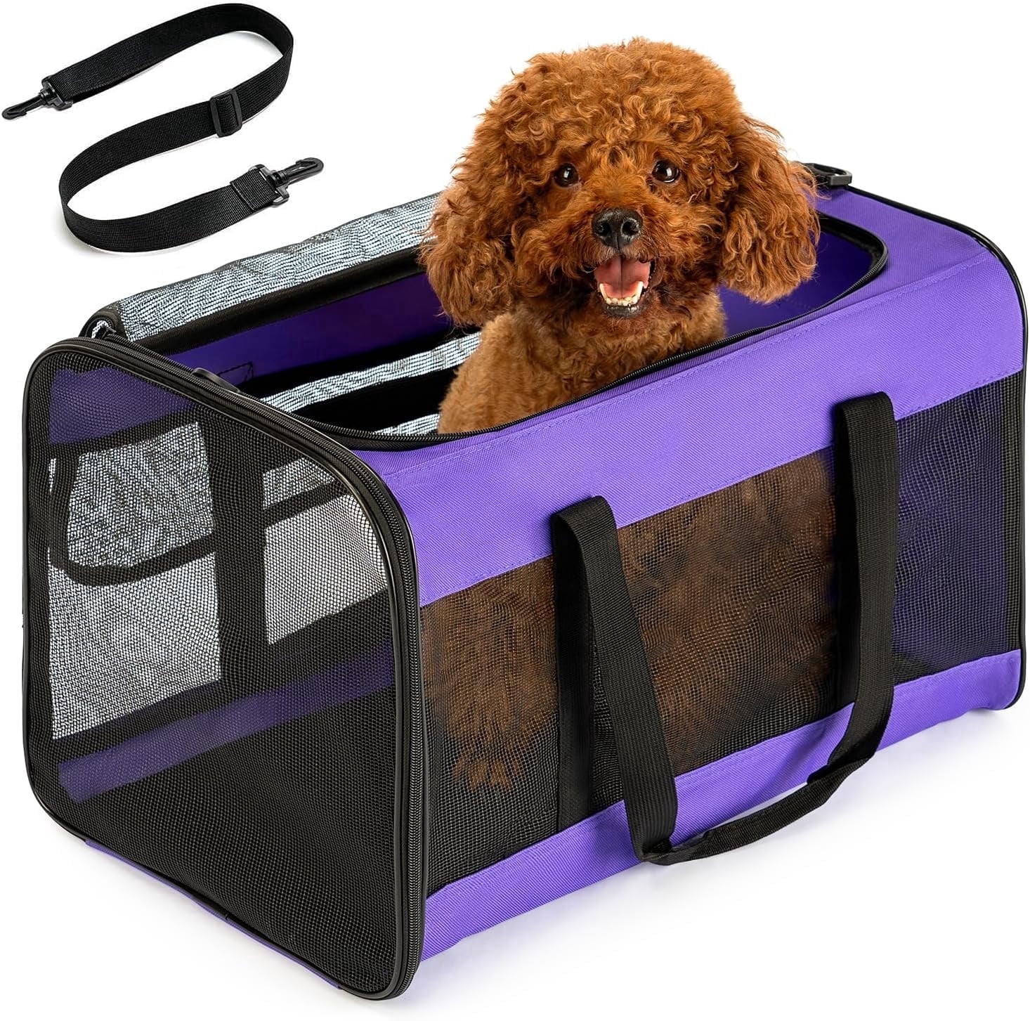 Conlun Cat Dog Carrier,Soft-Sided Pet Carriers for Dogs with 4-Sided Mesh,Cat Transport for Large Cats Small Dog Up to 9.9Kg,Collapsible Dat Travel Carrier-L,Purple
