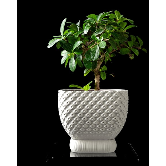 Connect Planter Pot, Mint, Desk & Shelf Planter, Home Office Decor