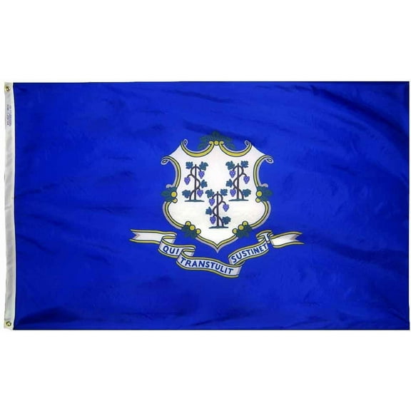Connecticut - 3'X5' Nylon Flag