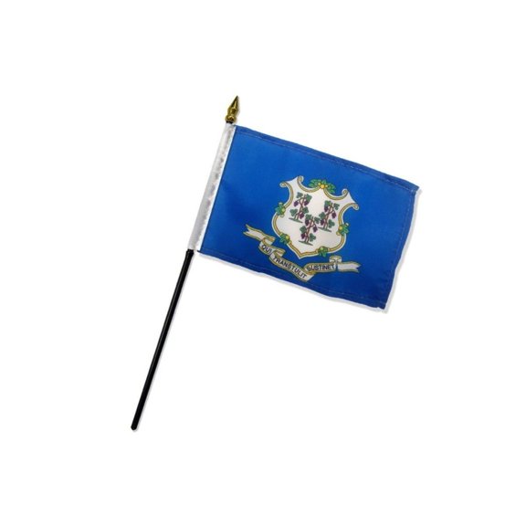 Connecticut 4x6in Stick Flag