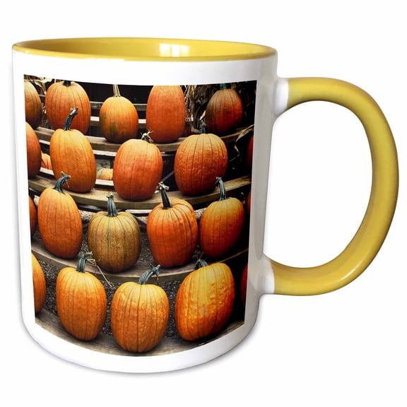 3drose, Connecticut, Conventry, Fall Pumpkins., 11oz Two-tone Yellow Mug