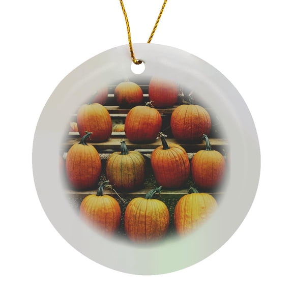 3drose, Connecticut, Conventry, Fall Pumpkins., Circle Porcelain Ornament