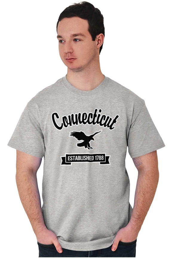 Connecticut Cute Bald Eagle Souvenir Men's Graphic T Shirt Tees Brisco Brands L