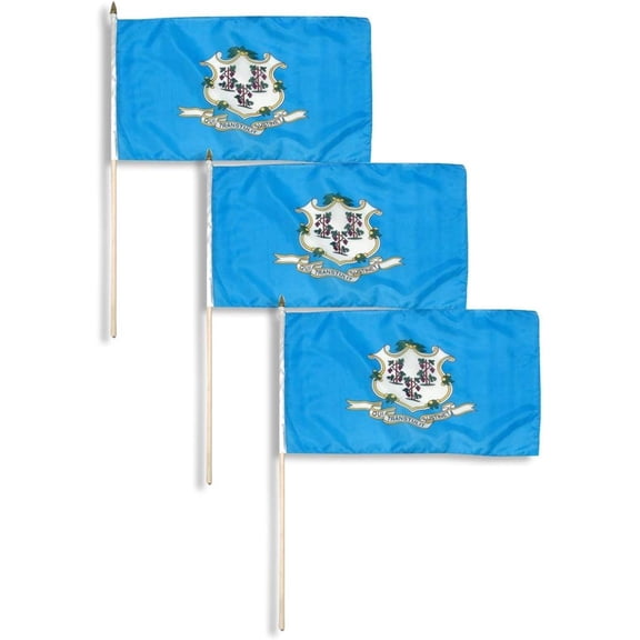 Connecticut Flag 12 x 18 inch (3 PK)