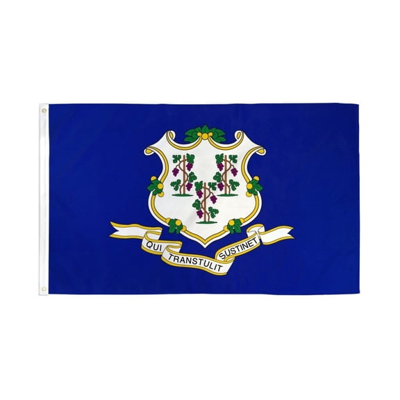 Connecticut Flag 2x3ft Poly