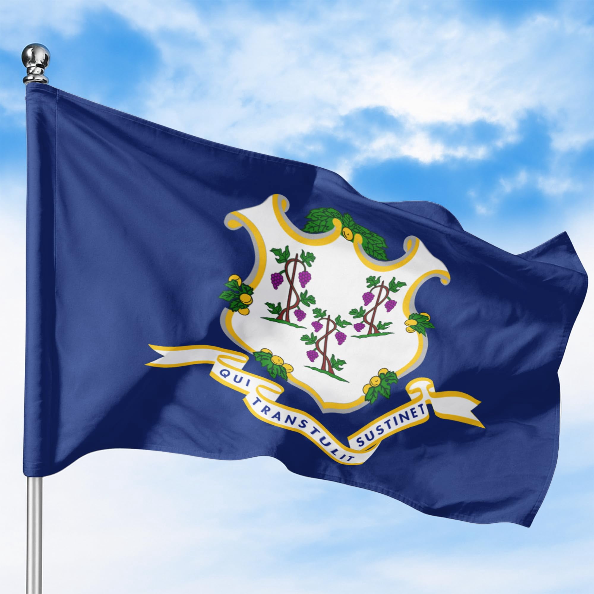 Connecticut Outdoor Flag (5x8ft) by DreamController - Durable, Fade-Resistant Polyester, Double-Stitched, Brass Grommets - HD Printed USA State Flag - Made in USA