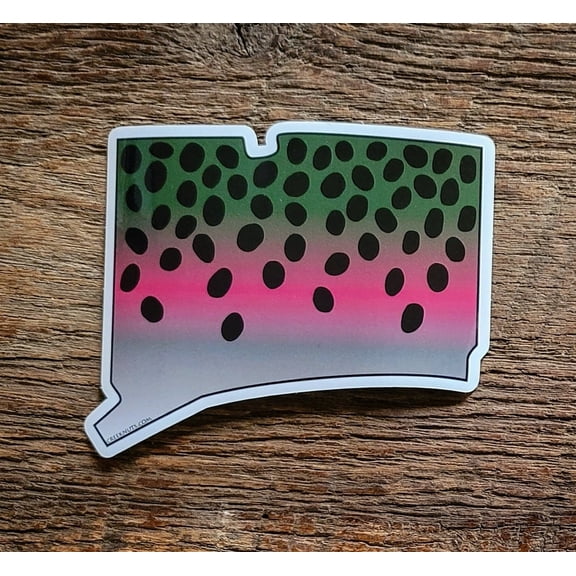Connecticut Rainbow Trout Skin Sticker Decal