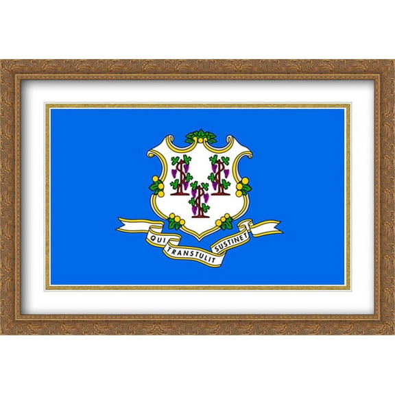 Connecticut State 2x Matted 40x28 Large Gold Ornate Framed Art Print by The Flag Art Print Series