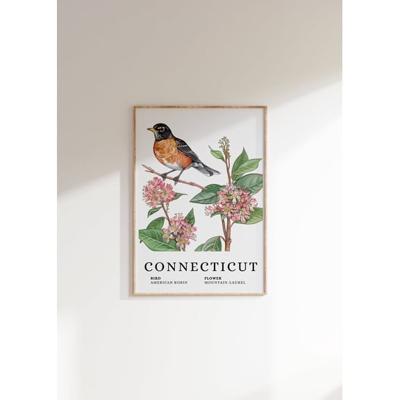 Connecticut State Bird Art : American Robin & Mountain Laurel Unframed Paper Print
