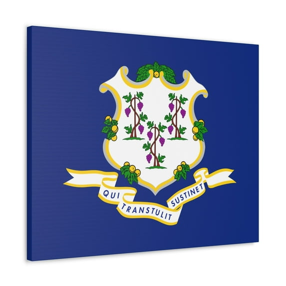 Connecticut State Flag Canvas Vibrant Wall Art Unframed Home Decor