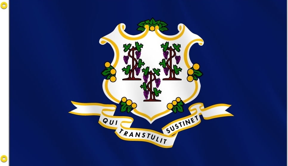 Connecticut State Flag, Nylon, 3' x 5', 100% Made in USA, Canvas Header ...