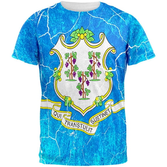 Connecticut Vintage Distressed State Flag All Over Mens T Shirt Multi 2XL