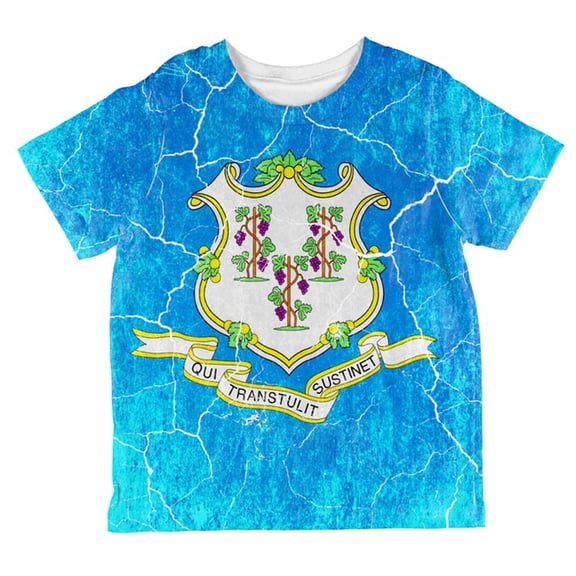 Connecticut Vintage Distressed State Flag All Over Toddler T Shirt Multi 4T