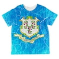 thumbnail image 1 of Connecticut Vintage Distressed State Flag All Over Toddler T Shirt Multi 6T, 1 of 2
