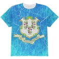 thumbnail image 1 of Connecticut Vintage Distressed State Flag All Over Youth T Shirt Multi YMD, 1 of 2