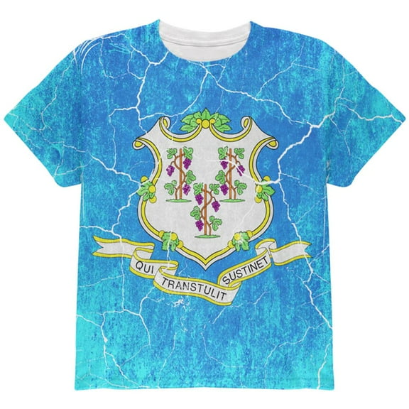 Connecticut Vintage Distressed State Flag All Over Youth T Shirt Multi YXL